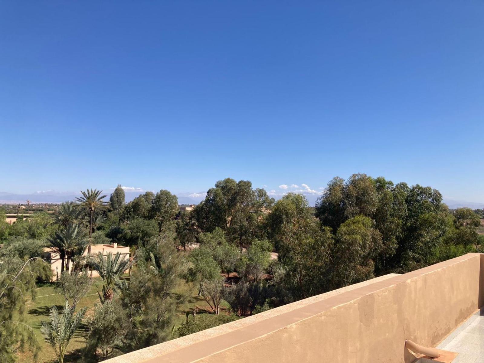 Family Palms Luxe Villa Marrakech With Private Pool Marrakesh Cameră foto